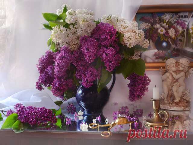 Печальный факт

Если первый блин пришёлся вам не комом,
И по вкусу и по ценности, удал,
Вопреки всем переписанным законам,
Неудачною попыткою не стал.
Значит, правильно сошлись и цель и средства,
Да и сами были вы на высоте.
И скажу вам безо всякого кокетства,
Не под силу повторить такое мне.

Я по жизни торопыга бесталанный,
Всё на глаз не отмеряя, ворочу.
Потому и результат всегда бесславный,
От того и жизнь в унынье волочу.
Где набраться мне везенья и сноровки,
У кого з...