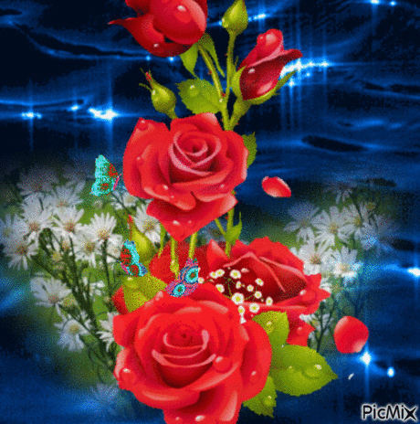 Живые фотографии – Google+