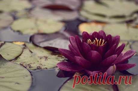 Редактировать описание