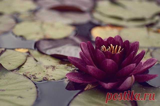 Редактировать описание