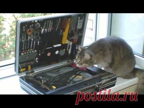 Чемодан для инструментов. Как можно оборудовать обычный кейс