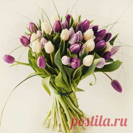 Photo by Ольга Валисте in Abinsk. May be an image of flower.