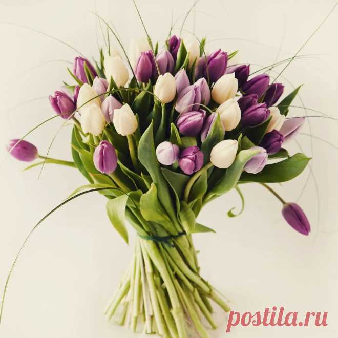 Photo by Ольга Валисте in Abinsk. May be an image of flower.