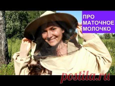 МАТОЧНОЕ МОЛОЧКО  для ОМОЛОЖЕНИЯ!