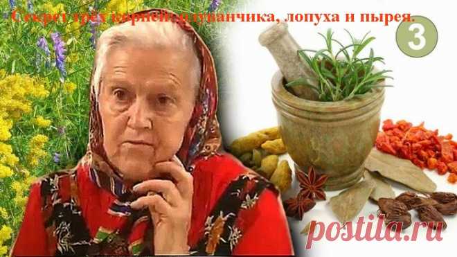 Секрет трёх корней: .