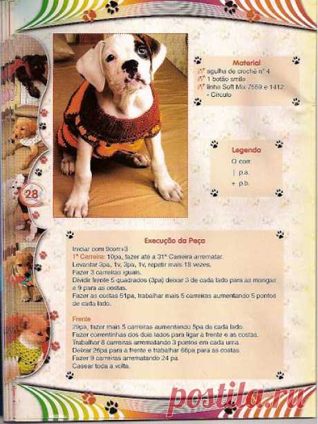 Moda Pet - claudia Rabello - Веб-альбомы Picasa