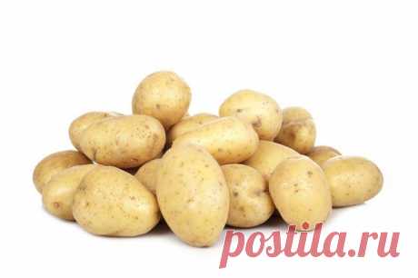 Вкусные рецепты