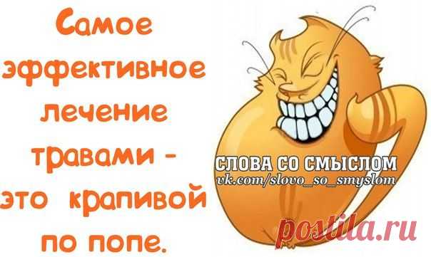 И еще юмор