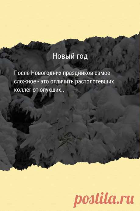 Цитата про «Новый год» — После Новогодних праздников самое сложное - это…