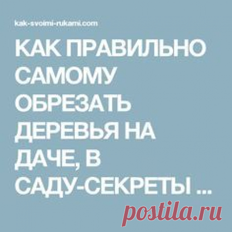 КАК ПРАВИЛЬНО САМОМУ ОБРЕЗАТЬ ДЕРЕВЬЯ НА ДАЧЕ, В САДУ-СЕКРЕТЫ ПРАВИЛЬНОЙ ОБРЕЗКИ | Своими руками - Как сделать самому