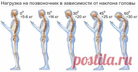 Не перегружайте позвоночник, и он вам ещё долго послужит 

#инфографика@okeydok