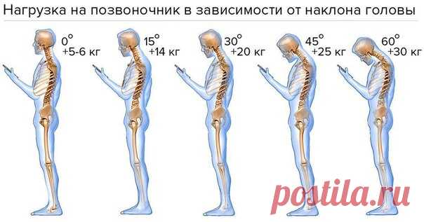 Не перегружайте позвоночник, и он вам ещё долго послужит 

#инфографика@okeydok