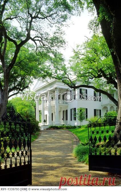 (1) Pinterest • The world’s catalog of ideas