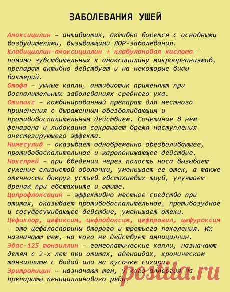 Шпаргалка на всю жизнь: 99 лекарств, которые могут вылечить почти все - Lifter