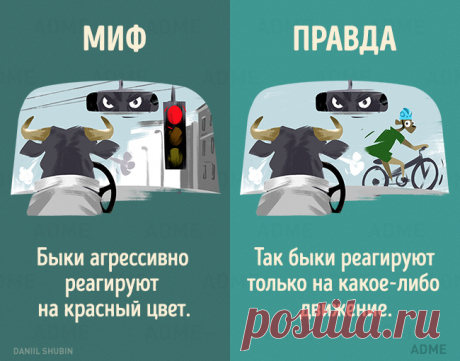 13 мифов о животных, в которые мы до сих пор верим