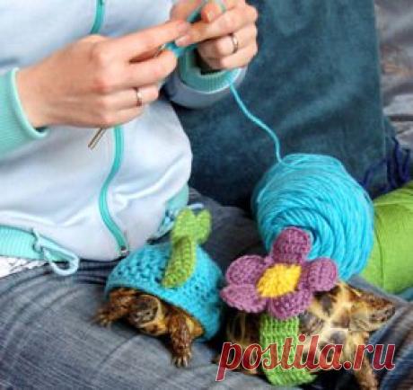 Вязаная мода для…. черепах!NiceHandMade — вязание крючком | NiceHandMade - вязание крючком