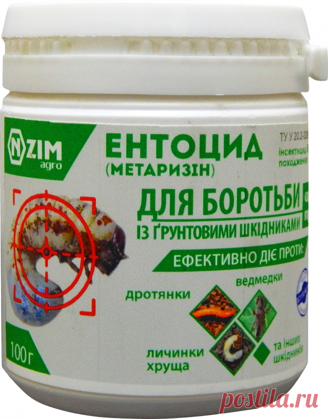Ентоцид – новітній біотехнологічний препарат для боротьби із ґрунтовими шкідниками: ведмедка, дротяник, личинки та імаго травневого хруща, зимуюча фаза колорадського жука в ґрунті.   Активну дієву основу препарату складають міцелій та спори ентомопатогенних грибів (кількох рас). При попаданні на тіло шкідника спори препарату Ентоцид проростають, паралізують нервову систему, органи дихання, м’язову тканину та уражують кишковий тракт та жирову тканину.