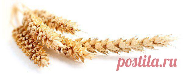 Очищаем печень, желчные пути, сосуды, восстанавливаем сон, улучшаем общее состояние..