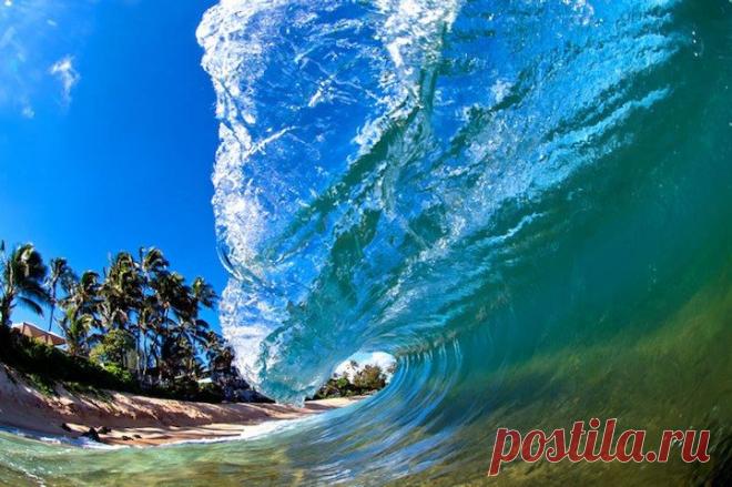 Этот безумный, безумный мир. Шикарно! / Всё самое лучшее из интернета