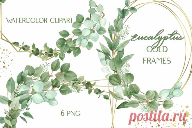 Watercolor Eucalyptus Foliage Gold Frames Clip Art (1237282) | Illustrations | Design Bundles