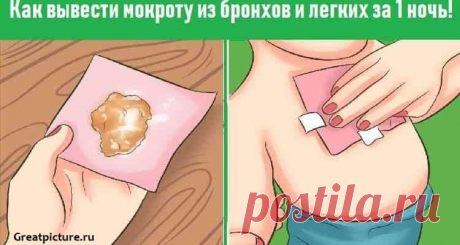 Как вывести мокроту из бронхов и легких за 1 ночь!