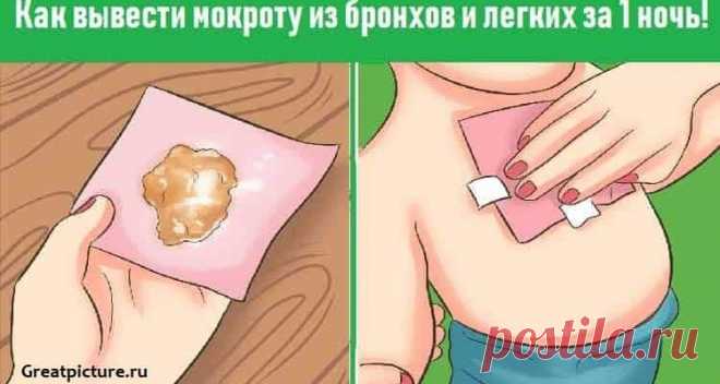 Как вывести мокроту из бронхов и легких за 1 ночь!