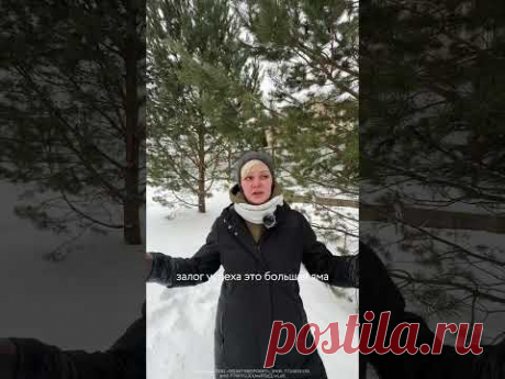 Какие правила посадки больших деревьев?