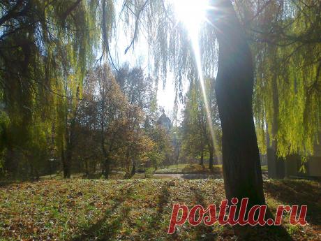 Осень в Житомире