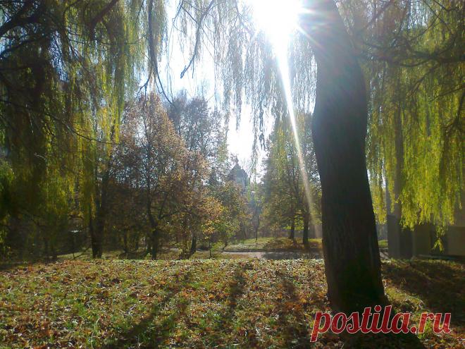 Осень в Житомире