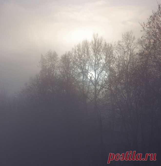 9 ноября 2013 г. М. Вязёмы - Захарово