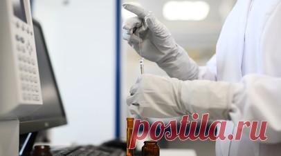 Мурашко: число новых случаев ВИЧ-инфекции в России в 2024 году уменьшилось на 11%. Министр здравоохранения России Михаил Мурашко сообщил, что в прошлом году число новых случаев ВИЧ-инфекции в стране уменьшилось на 11% и составило чуть менее 48,5 тыс. без учёта новых регионов. Читать далее