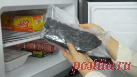 Зачем замораживать колготки? | Сайт для любознательных