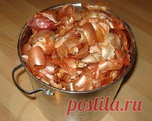 Целебные средства от варикоза