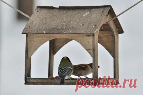 Народные приметы: 12 ноября - Погода на Joinfo.ua