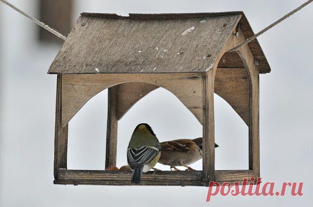 Народные приметы: 12 ноября - Погода на Joinfo.ua