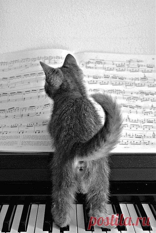 I will play