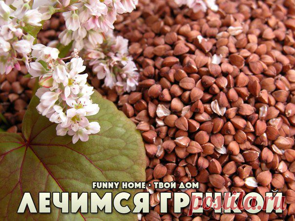 Funny Home • Твой дом:  лечим поджелудочку и кишечник