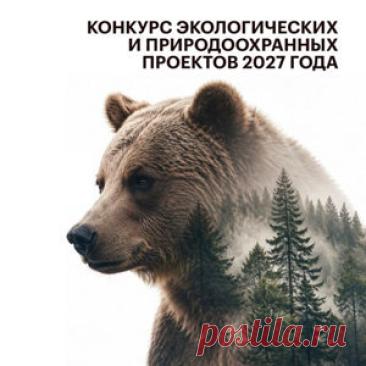 #Конкурс_грантов на реализацию экологических и природоохранных проектов в 2027 году: #призы - #деньги. #Гранты до #50_млн_руб