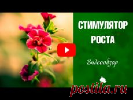 СТИМУЛЯТОРЫ РОСТА