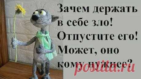 Решил искупать кота... заодно и сам помылся