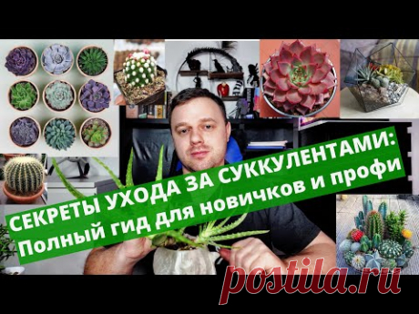 СЕКРЕТЫ УХОДА ЗА СУККУЛЕНТАМИ: Полный гид для новичков и профи Уход, Размножение, Вредители, Ошибки