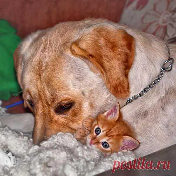 любовь...
