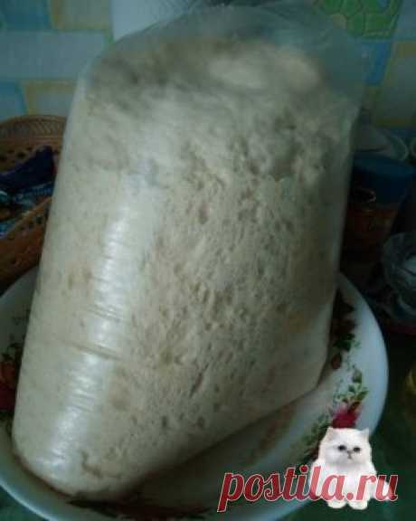 Тесто для пирожков