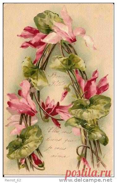 (723) A - by Catherine Klein | Flower graphics
