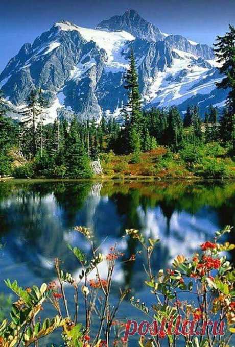 (27) Pinterest