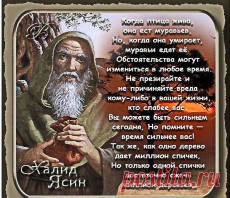 Бабульки рулят!
