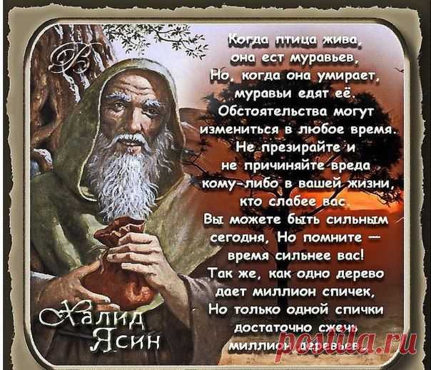Бабульки рулят!