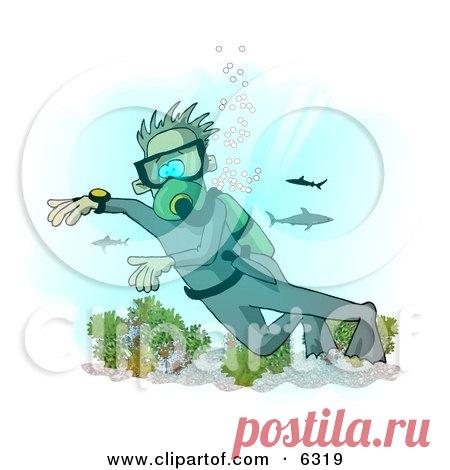 аквалангист клипарт - 971 картинка. Поиск Mail.Ru