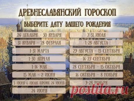 (61) Одноклассники