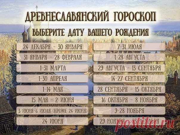 (61) Одноклассники